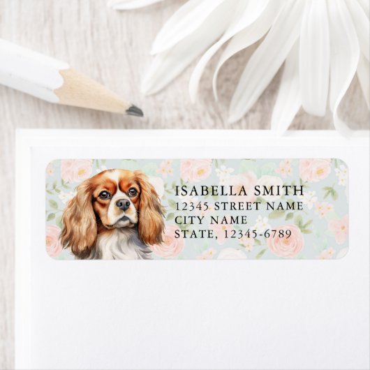 Cavalier King Charles Spaniel Rücksendeadresse (Insitu)