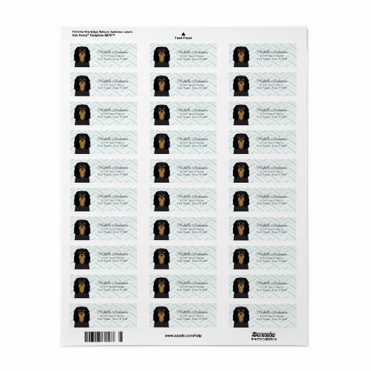 Cavalier King Charles Spaniel Rücksendeadresse (Vorne)