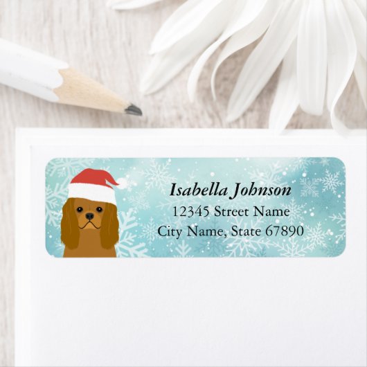 Cavalier King Charles Spaniel Rücksendeadresse (Insitu)