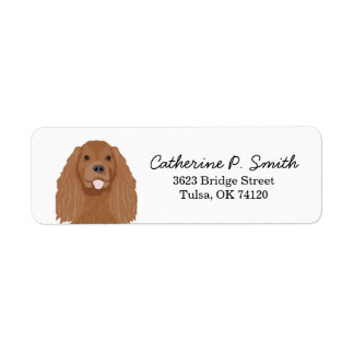 Cavalier King Charles Spaniel Rücksendeadresse