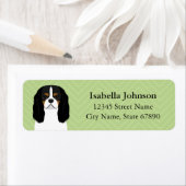 Cavalier King Charles Spaniel Rücksendeadresse (Insitu)