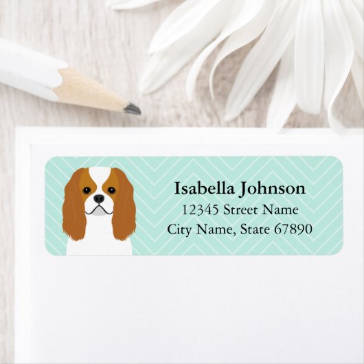 Cavalier King Charles Spaniel Rücksendeadresse (Insitu)