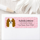 Cavalier King Charles Spaniel Rücksendeadresse (Insitu)