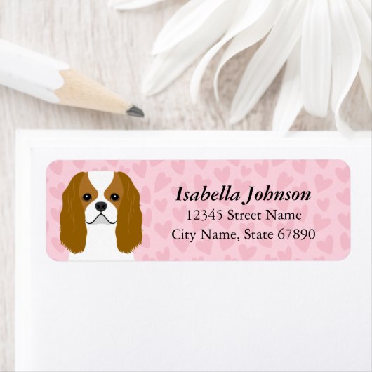 Cavalier King Charles Spaniel Rücksendeadresse (Insitu)