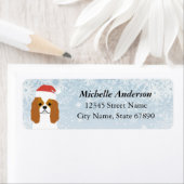 Cavalier King Charles Spaniel Rücksendeadresse (Insitu)