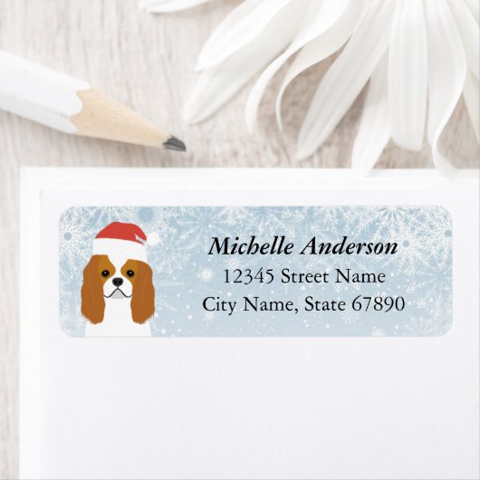 Cavalier King Charles Spaniel Rücksendeadresse (Insitu)