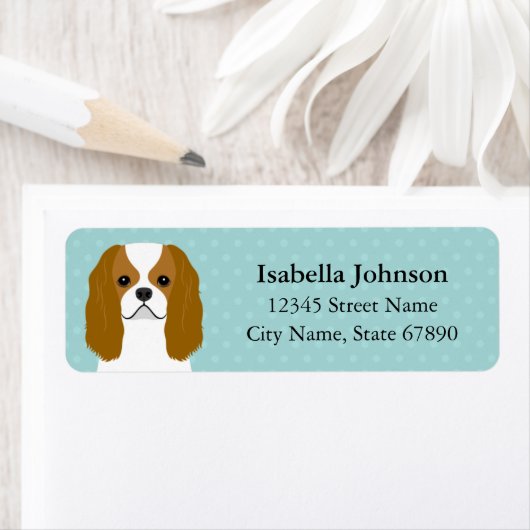 Cavalier King Charles Spaniel Rücksendeadresse (Insitu)