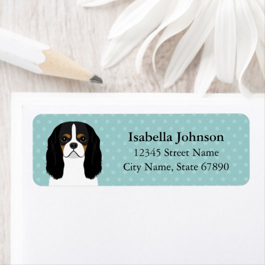 Cavalier King Charles Spaniel Rücksendeadresse (Insitu)