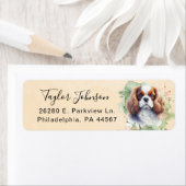 Cavalier King Charles Spaniel Rücksendeadresse (Insitu)