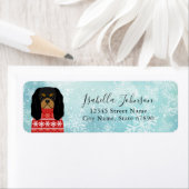 Cavalier King Charles Spaniel Rücksendeadresse (Insitu)