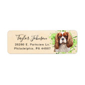 Cavalier King Charles Spaniel Rücksendeadresse (Vorne)