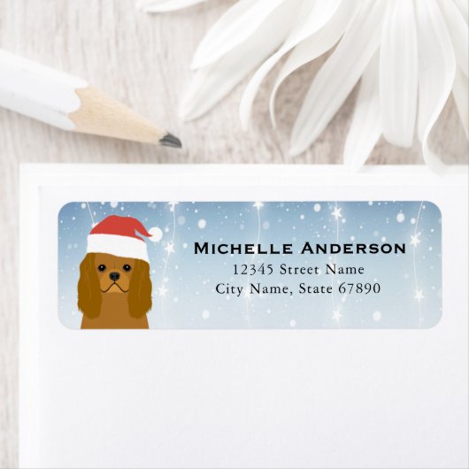 Cavalier King Charles Spaniel Rücksendeadresse (Insitu)