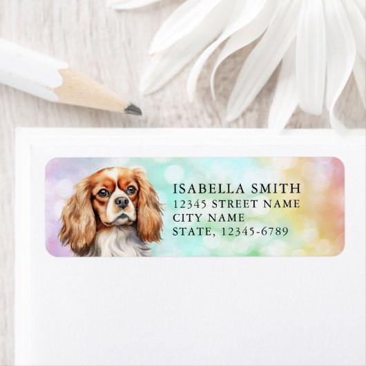 Cavalier King Charles Spaniel Rücksendeadresse (Insitu)