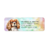 Cavalier King Charles Spaniel Rücksendeadresse (Vorne)