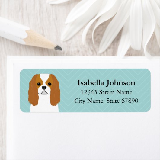 Cavalier King Charles Spaniel Rücksendeadresse (Insitu)