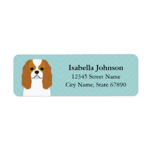 Cavalier King Charles Spaniel Rücksendeadresse