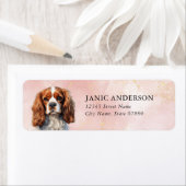 Cavalier King Charles Spaniel Rücksendeadresse (Insitu)
