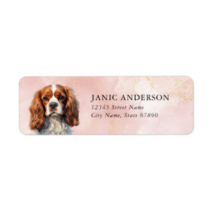 Cavalier King Charles Spaniel Rücksendeadresse