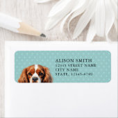 Cavalier King Charles Spaniel Rücksendeadresse (Insitu)