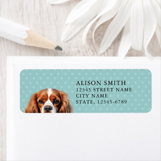 Cavalier King Charles Spaniel Rücksendeadresse (Insitu)