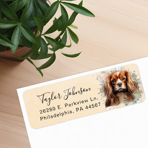 Cavalier King Charles Spaniel Rücksendeadresse