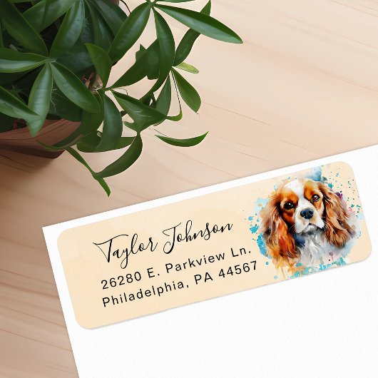 Cavalier King Charles Spaniel Rücksendeadresse