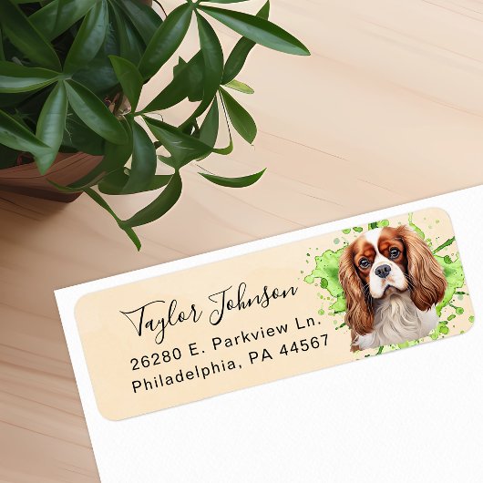 Cavalier King Charles Spaniel Rücksendeadresse