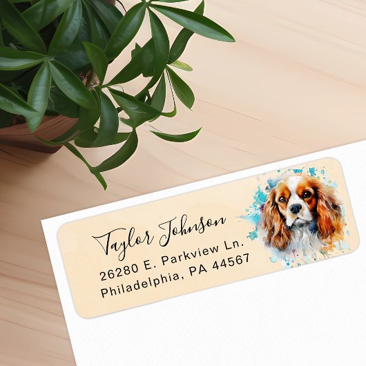 Cavalier King Charles Spaniel Rücksendeadresse