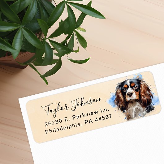 Cavalier King Charles Spaniel Rücksendeadresse