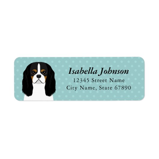 Cavalier King Charles Spaniel Rücksendeadresse (Vorne)