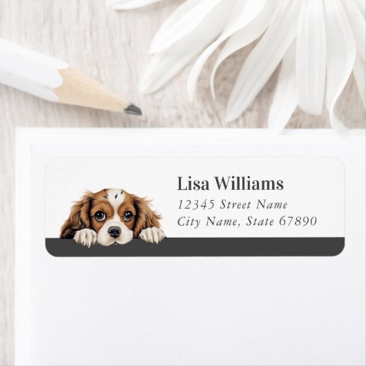 Cavalier King Charles Spaniel Rücksendeadresse (Insitu)