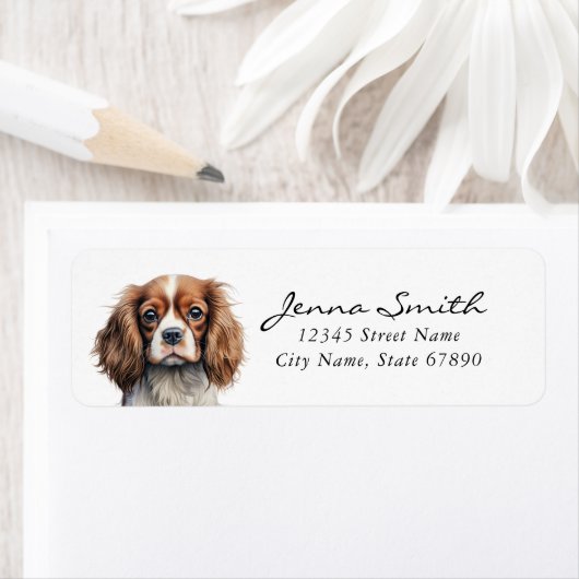 Cavalier King Charles Spaniel Rücksendeadresse (Insitu)