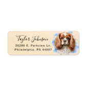 Cavalier King Charles Spaniel Rücksendeadresse (Vorne)
