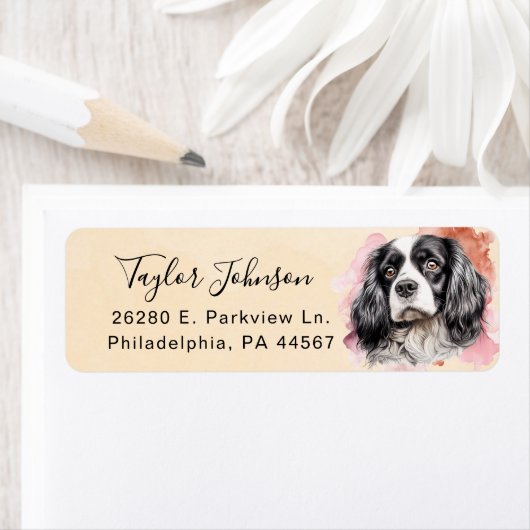 Cavalier King Charles Spaniel Rücksendeadresse (Insitu)