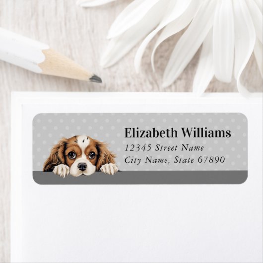 Cavalier King Charles Spaniel Rücksendeadresse (Insitu)