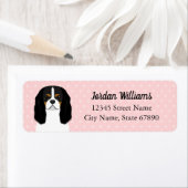 Cavalier King Charles Spaniel Rücksendeadresse (Insitu)