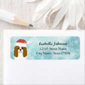 Cavalier King Charles Spaniel Rücksendeadresse (Insitu)