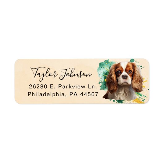 Cavalier King Charles Spaniel Rücksendeadresse (Vorne)