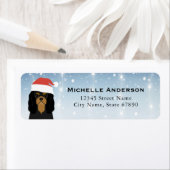 Cavalier King Charles Spaniel Rücksendeadresse (Insitu)