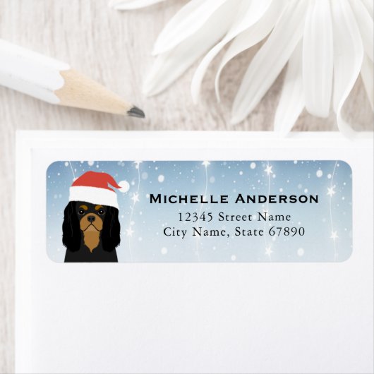 Cavalier King Charles Spaniel Rücksendeadresse (Insitu)