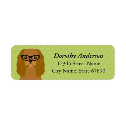 Cavalier King Charles Spaniel Rücksendeadresse (Vorne)