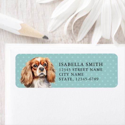 Cavalier King Charles Spaniel Rücksendeadresse (Insitu)