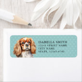 Cavalier King Charles Spaniel Rücksendeadresse Eti (Insitu)