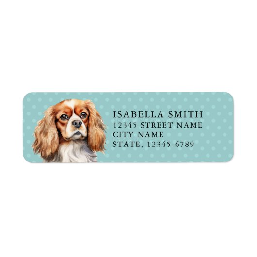 Cavalier King Charles Spaniel Rücksendeadresse Eti (Vorne)