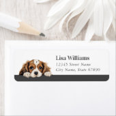 Cavalier King Charles Spaniel Rücksendeadressetike (Insitu)