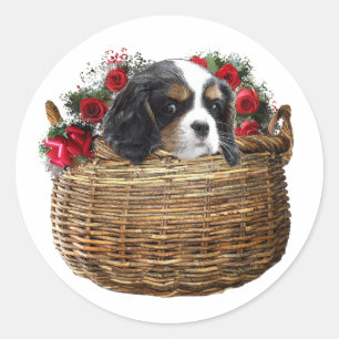 Cavalier King Charles Spaniel Runder Aufkleber