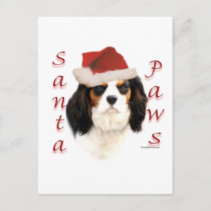 Cavalier King Charles Spaniel Santa Paws Feiertagspostkarte