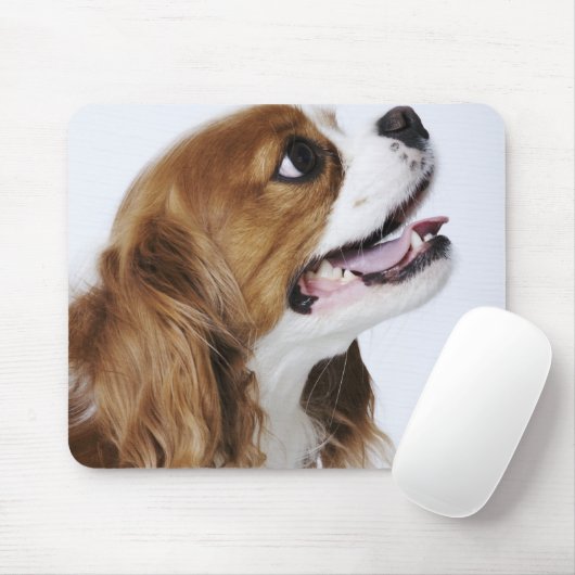 Cavalier King Charles Spaniel, Seitenansicht Mousepad (Mit Mouse)