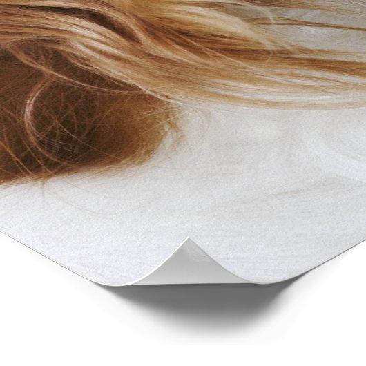 Cavalier King Charles Spaniel, Seitenansicht Poster (Ecke)