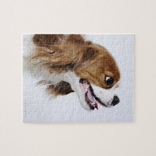 Cavalier King Charles Spaniel, Seitenansicht Puzzle (Horizontal)